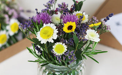 Win a 3-month Botanical Box Subscription...