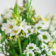 Botanical Posy and House Vase Duo