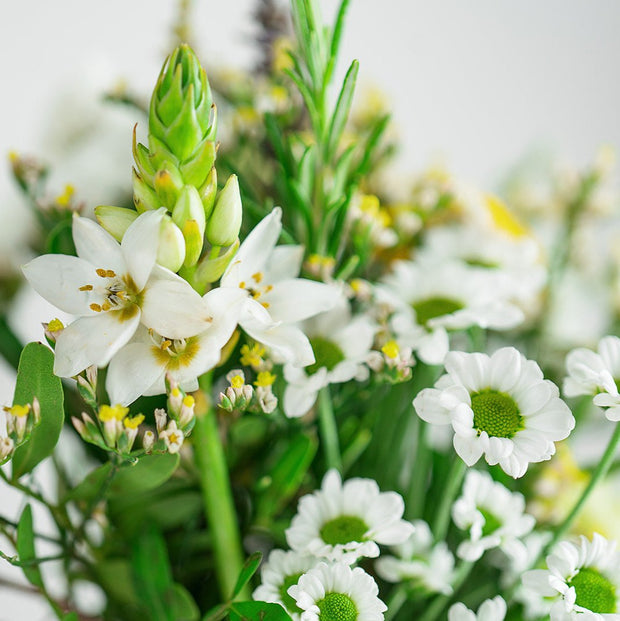 Botanical Posy and House Vase Duo