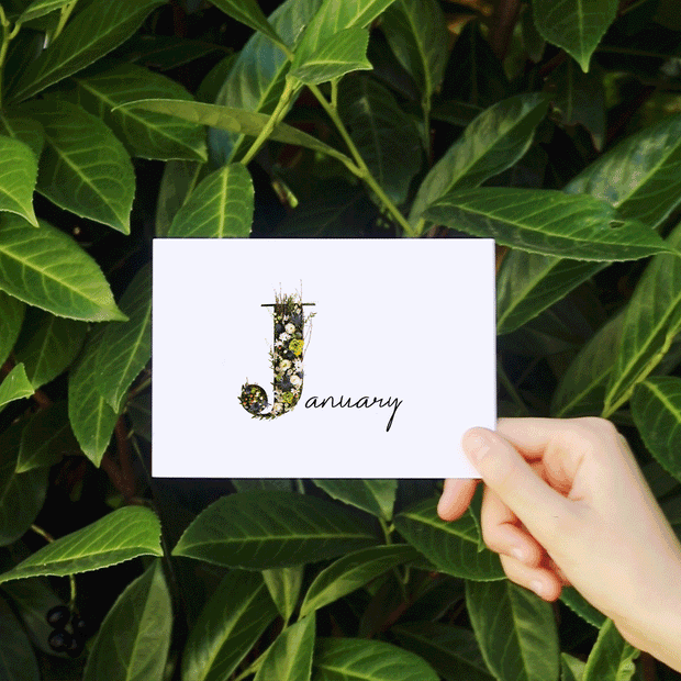 Fresh Flower Botanical Posy Monthly Subscription