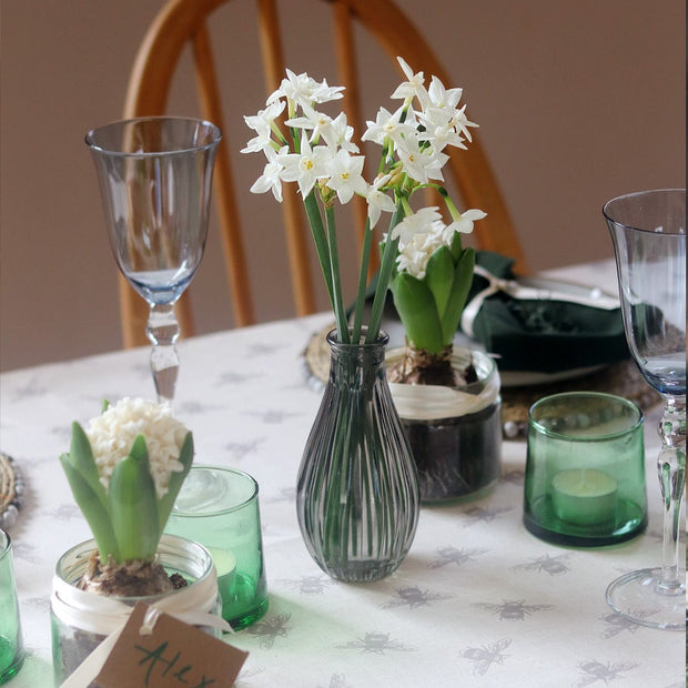 Letterbox Winter gift of Scented Narcissus